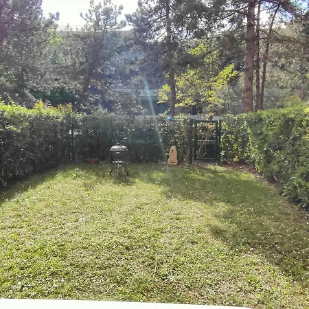 Lira Con Giardino
